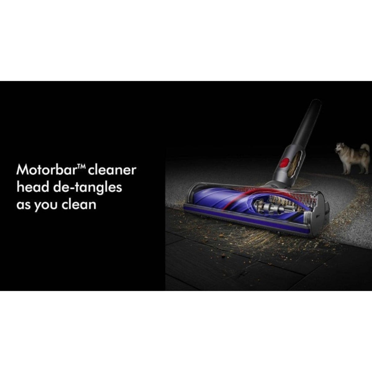 Taghareed Dyson V8 Absolute vacuum cleaner with Motorbar head de-tangling hair. A dog watches.
