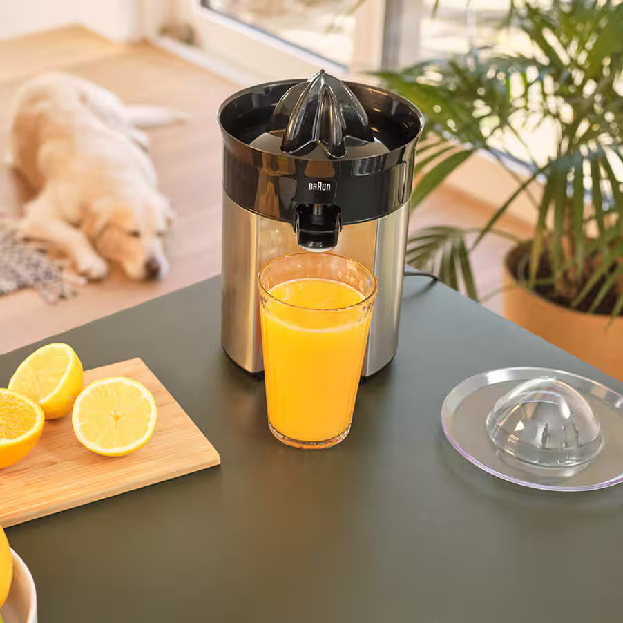 Braun juice press with a glass of orange juice on a table, surrounded by lemons and a dog in the background.
