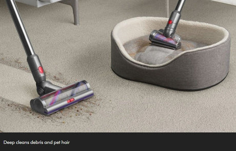 Taghareed Dyson V12s Detect Slim Submarine cordless vacuum cleaning debris and pet hair from carpet and a dog bed.